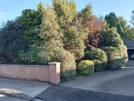 Garden maintenance services 