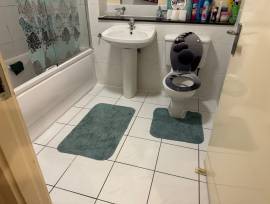 DOUBLE BEDROOM AVAILABLE IN D8 - Available Now DOUBLE BEDROOM AVAILABLE IN D8 - Available Now