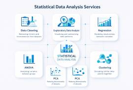 Professional Online Statistical Data Analysis ServicesforBusiness&Resea