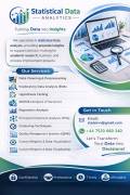 Professional Online Statistical Data Analysis ServicesforBusiness&Resea