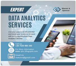 Expert Online Statistics Tutoring & Data Analysis Services