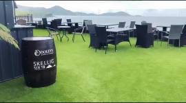 Experienced food & beverage server