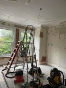 Professional Painters and Decorators available Professional Painters and Decorators available
