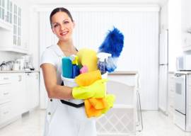 Housekeeper super cleaner