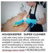 Housekeeper super cleaner