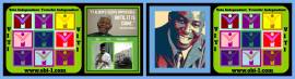 Professor Doctor Joseph Chikelue Obi: Prof Dr Obi: Dublin Cork Galway News.
