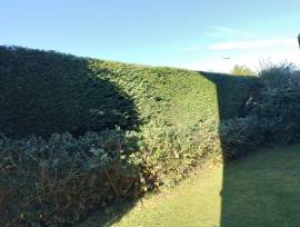 Lawn and landscape maintenance Lawn and landscape maintenance
