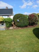 Gardening services lawn mowing Gardening services lawn mowing