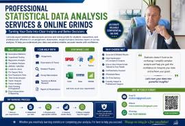 Expert Statistics Grinds and Data Analysis Support for Students Expert Statistics Grinds and Data Analysis Support for Students