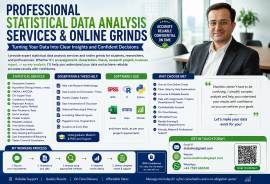 Professional Statistics Grinds, Dissertation Support and Thesis Help Online