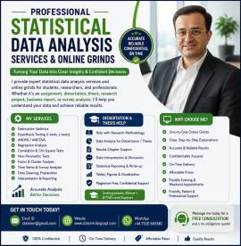 Expert Statistics Grinds and Data Analysis Support for Reserchers 