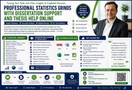 Professional Statistics Grinds with Dissertation Support and Thesis Help On