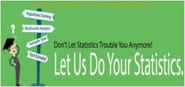 PhD Experienced Statistician avaliable for Statistics Online Help