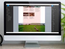Need a Website? Need a Website?