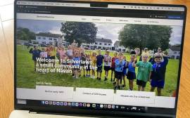Need a Website?
