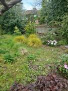 Garden grounds maintenance services 