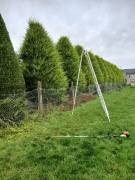 Garden grounds maintenance services Garden grounds maintenance services