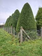 Garden grounds maintenance services Garden grounds maintenance services