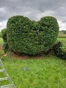 Garden grounds maintenance services Garden grounds maintenance services