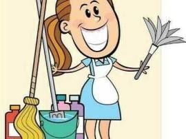 Cleaner available in Co. Mayo Cleaner available in Co. Mayo