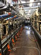 Dairy Farm Operative, Cork, Ireland Dairy Farm Operative, Cork, Ireland