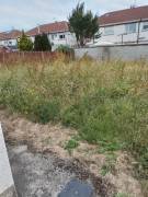 Garden maintenance services Garden maintenance services