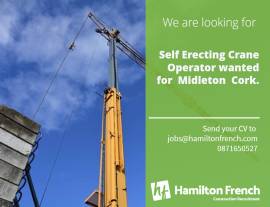Self Erect Crane Operative wanted for Midleton