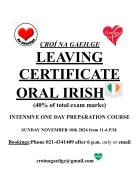Leaving Cert Honours Oral Irish 1-Day Preparation Course