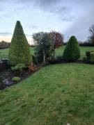 Garden maintenance services Garden maintenance services