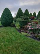 Garden maintenance services Garden maintenance services
