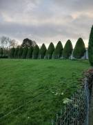 Garden maintenance services Garden maintenance services
