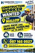 Construction Worker for Mallow Construction Worker for Mallow