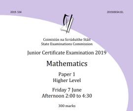 Junior/Leaving Certificate Maths grinds