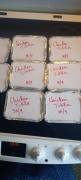 Home made food delivered to you Home made food delivered to you